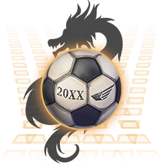ドラゴンサッカーボール ×3